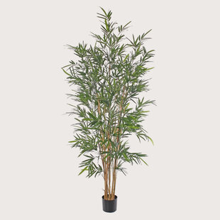 Bamboo Plant UV Green H195 D80
