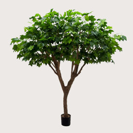 Maple Deluxe Tree Green H240