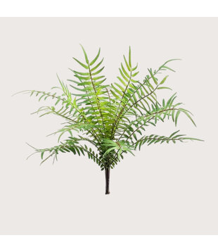 Varen Blechnum Steker H25