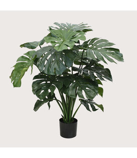 Monstera Green H100 D90