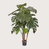 Monstera Deluxe Groen H140 D95