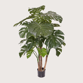 Monstera Deluxe Groen H140