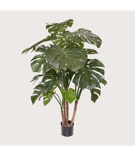 Monstera Deluxe Groen H140 D95