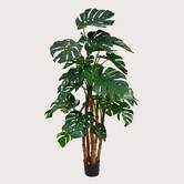 Monstera Deluxe Groen H180 D105