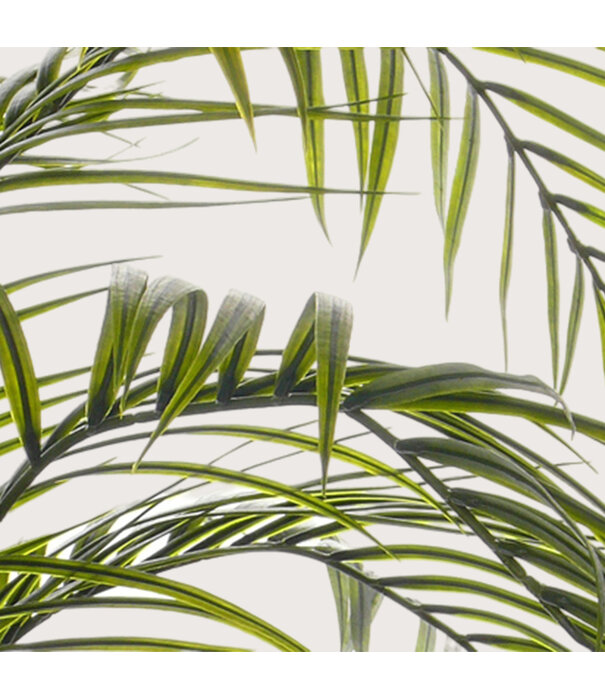 Areca Palm UV Groen H175 D120