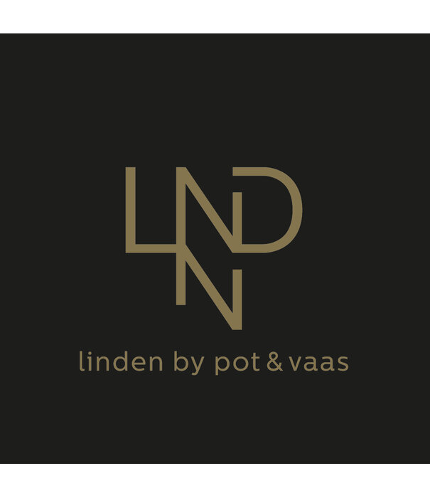 Cushion Tokyo Beige L45 B45