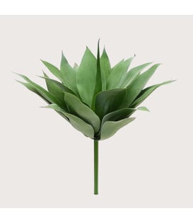 Agave Plug UV Green H50