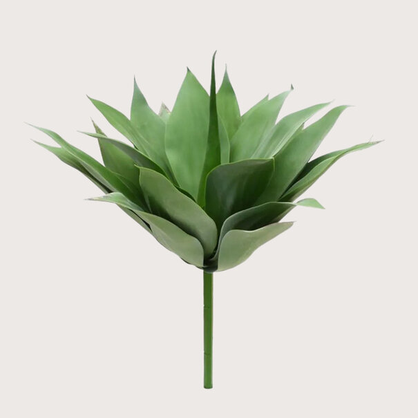 Agave Plug UV Green H50