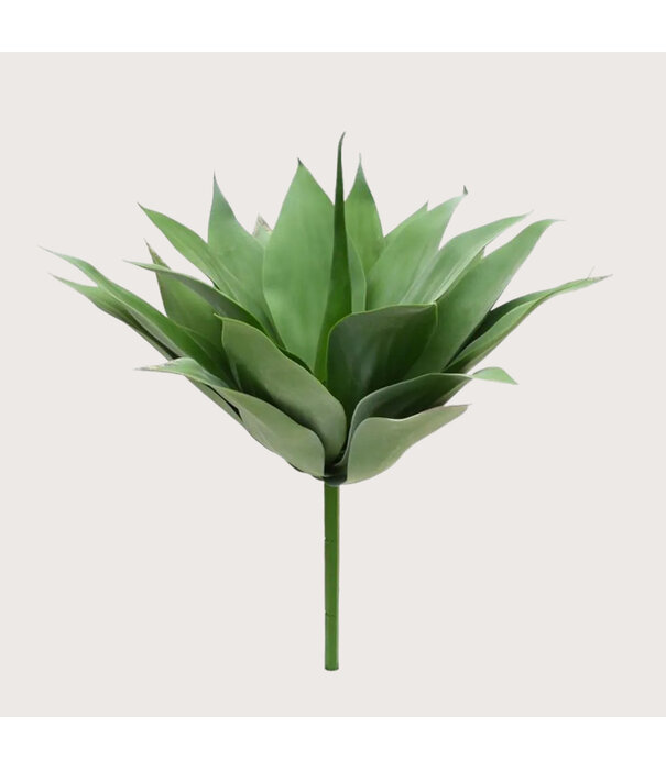 Agave Plug UV Green H50
