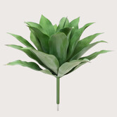 Agave Plug UV Green H70