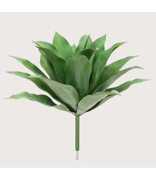 Agave Plug UV Green H70