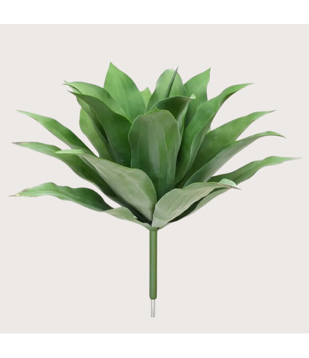 Agave Plug UV Green H70