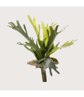 Hertshoorn Steker Groen H38