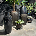 Vase Black H91 Pot & Vase EXCLUSIVES