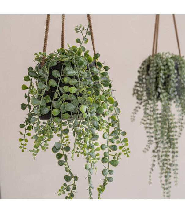 Hanging pot Patt M Black D16.50 H14