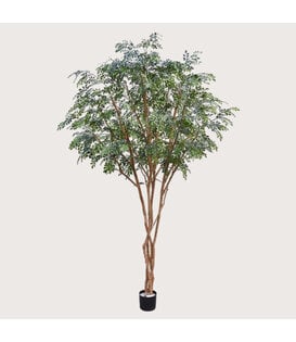 Murraya Deluxe Tree Green H325 D210