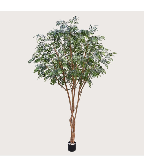 Murraya Deluxe Tree Green H325 D210