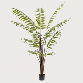 Varen Palm Groen H180 D140