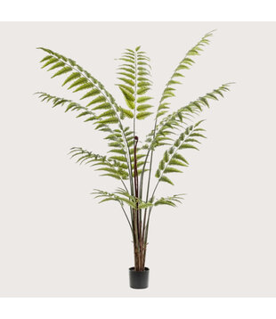 Varen Palm Groen H180 D140