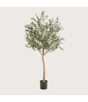 Olive Tree Green H180 D110