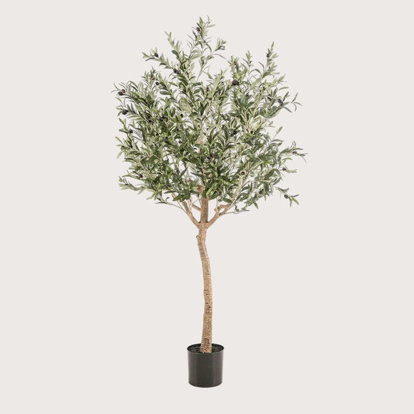 Olive Tree Green H180 D110