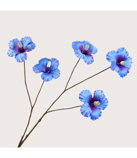 Hibiscus Tak Blauw H110