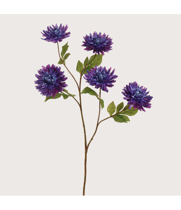 Mum Spray Blauw H105