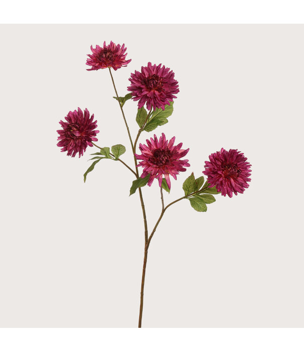 Mum Spray Bordeaux H105