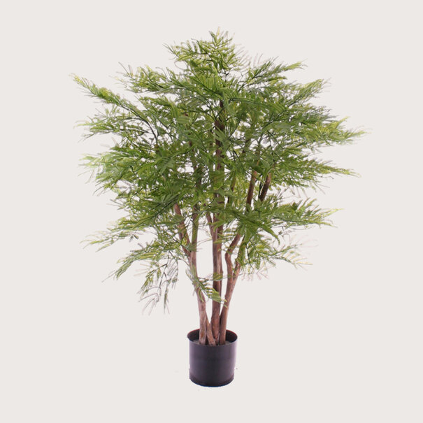 Mimosa Plant UV Green H110 D80