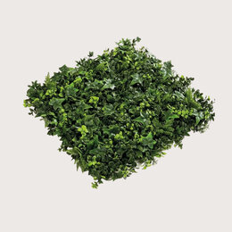 Planten Mat UV Greenwall Groen L50 B50