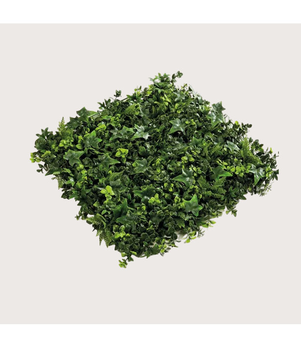 Planten basis voor Greenwall UV L50 B50