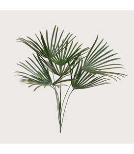 Raphis Boeket Steker UV Groen H60