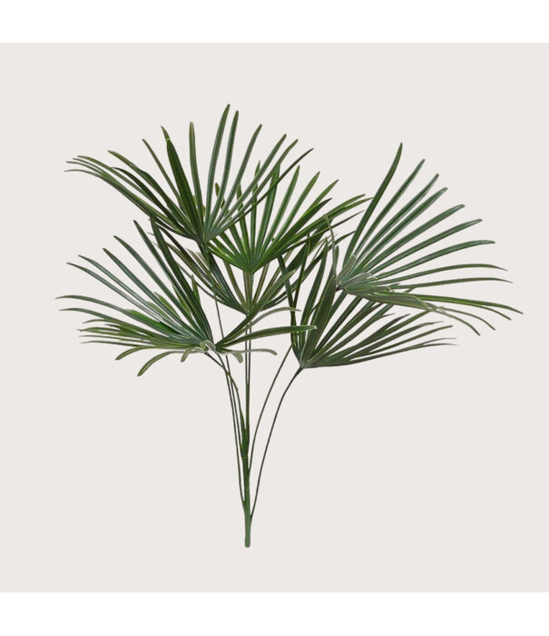 Raphis Boeket Steker UV Groen H60