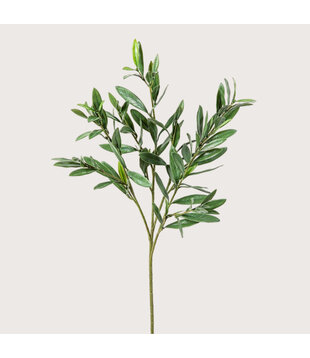 Olive branch UV H68