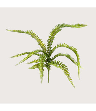 Fern Sticker Green H58