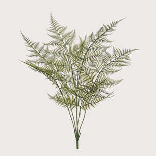 Fern branch Green H65