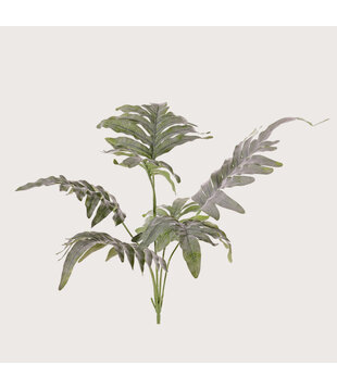 Blue fern Sticky Green H68