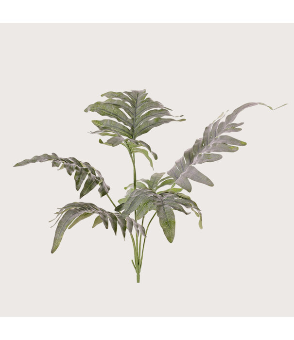 Blauwvaren Steker Groen H68