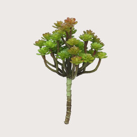 Cacta Stick Green/Red H19