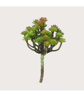 Cacta Steker Groen/Rood H19