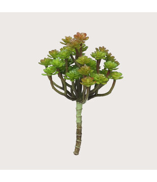 Cacta Steker Groen/Rood H19