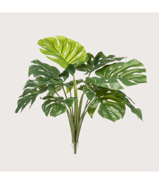 Monstera Steker Groen H60