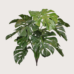 Monstera Deluxe Plug Green H75