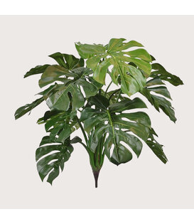 Monstera Deluxe Steker Groen H75