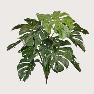 Monstera Deluxe Steker Groen H75