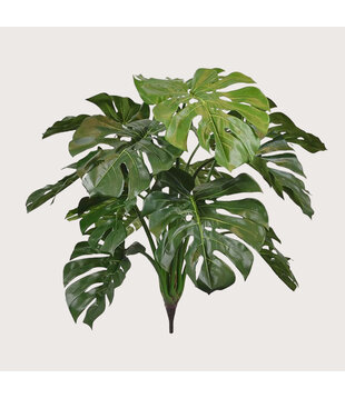 Monstera Deluxe Steker Groen H75