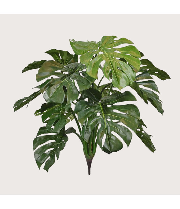 Monstera Deluxe Steker Groen H75