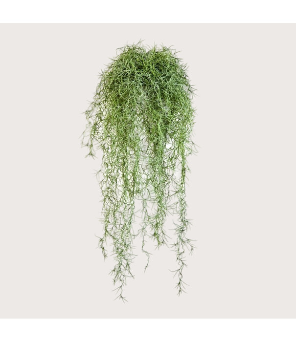 Long Hair Stick Green H80