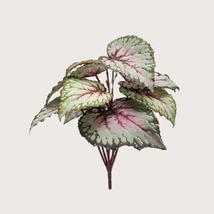 Begonia Branch Grey/Pink