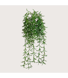 Succulent Hangplant Groen H45